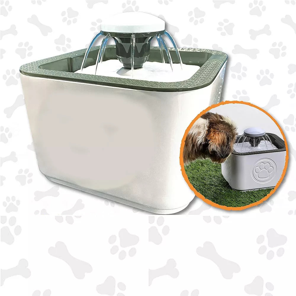 Fuente De Agua (Gatos/Perros)