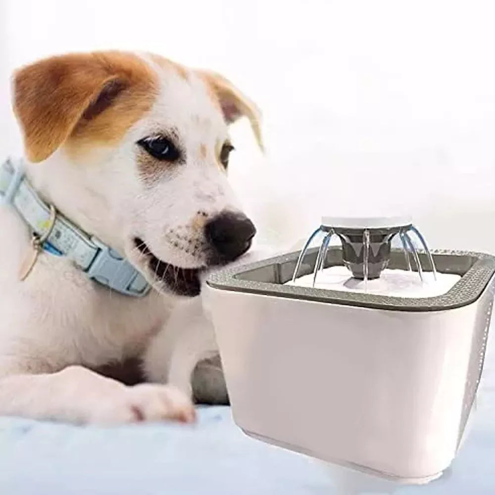 Fuente De Agua (Gatos/Perros)