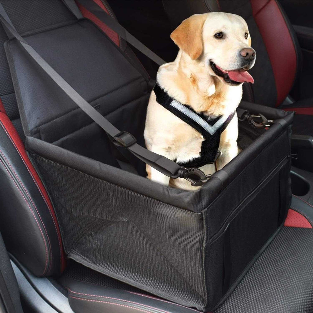 cargador de mascota + cepillo vap gratis