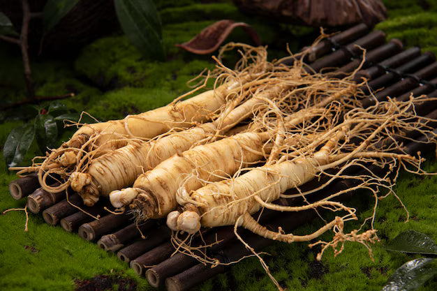 DUO GINSENG 24K RAIZ